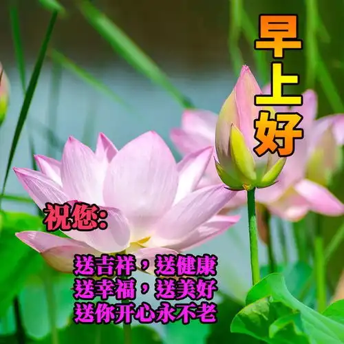 16张早上好最新版本今天早上好精选图片,问候最暖,祝福最深
