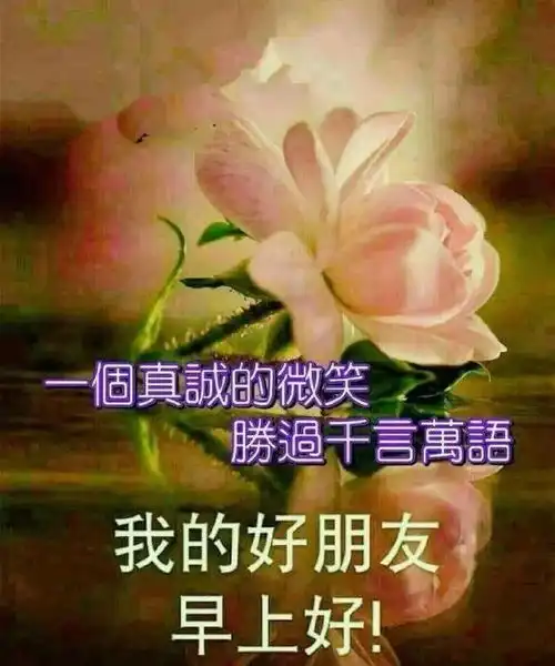 微信朋友圈好看早上好问候语表情图片最新微信漂亮的早上好动态图片
