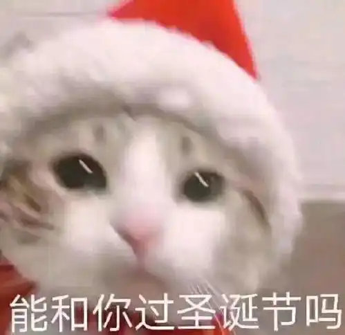 进来分配沙雕网友
