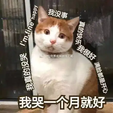 这就是付尾款时候的你
