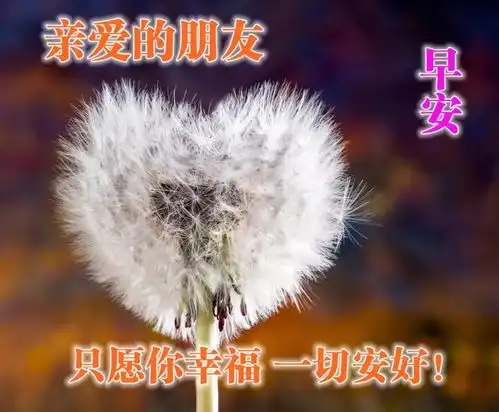 早上好图片大全表情包,早上好问候语文字带阳光图片
