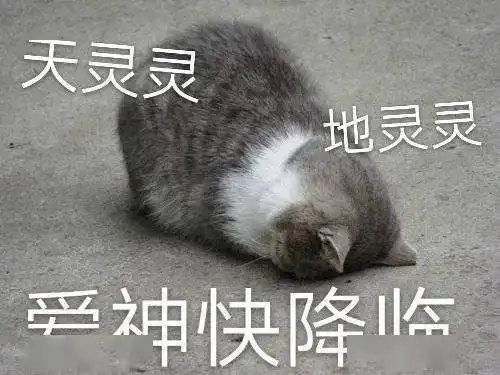 嫁给爱情的模样啊啊啊啊我一个爆哭...
