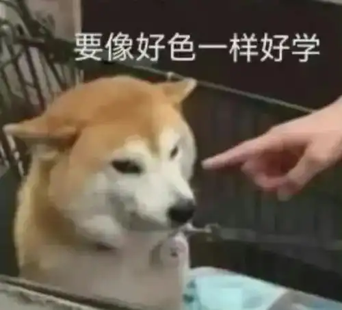 贱兮兮柴犬表情包
