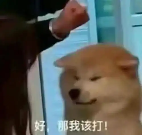 贱兮兮柴犬表情包
