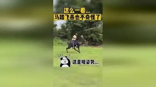 这么一看,马踏飞燕那表情也就不奇怪了
