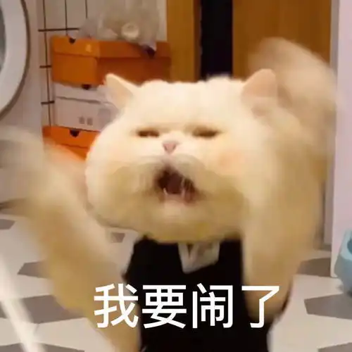 宠物表情包我要闹了
