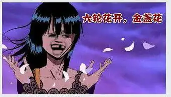 海贼王暴走表情包,开启了大装13时代
