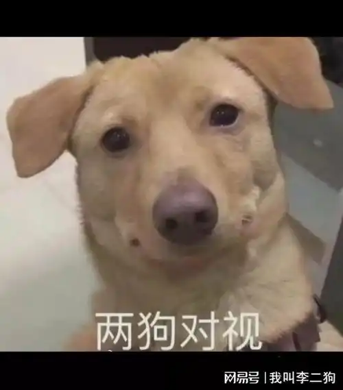 搞笑段子合集为了娶上媳妇,他坚持买了三年的彩票
