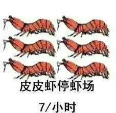 皮皮虾我们走是什么梗和皮皮猪我们走什么关系皮皮虾我们走表情包无水印
