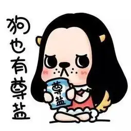 四川这么多单身男女,你还是单身狗告诉你原因
