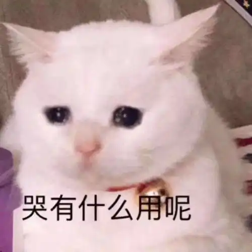 有没有什么沙雕且脱俗的文案
