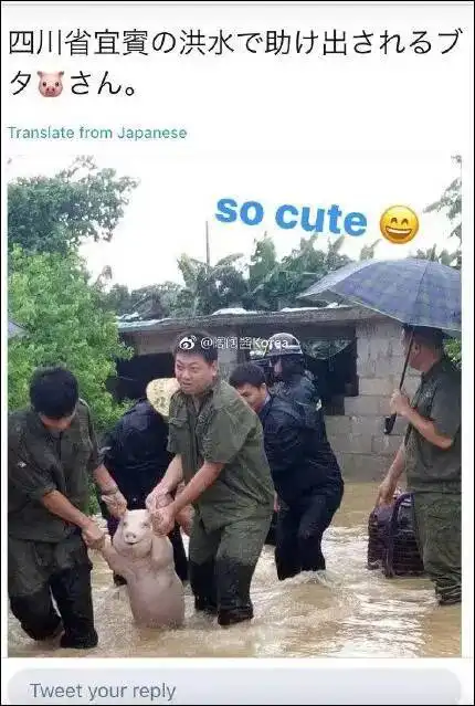 这只新晋表情包网红,火到国外网友都开始了ps大赛
