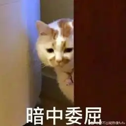 又一项微信服务宣布将收费下月开始剁手族听说后哭了
