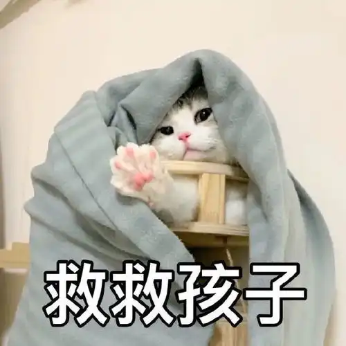 表情包救救孩子吧
