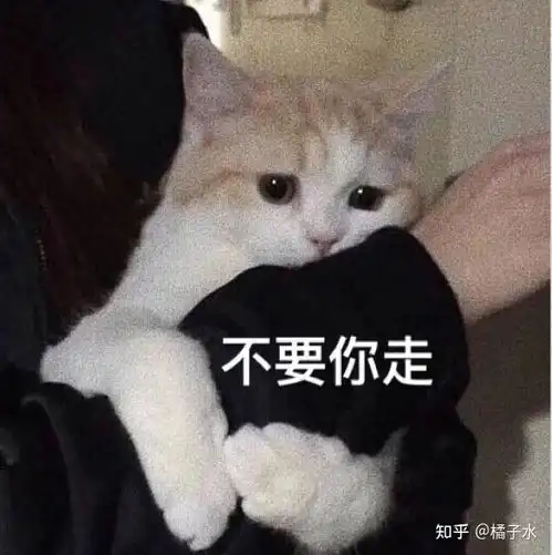 适合超级油性皮肤的身体乳推荐
