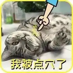 没成为中国锦鲤没关系,这波表情包来安慰你
