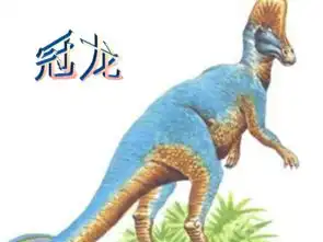 语文七年级下鲁教版4.22恐龙无处不在课件
