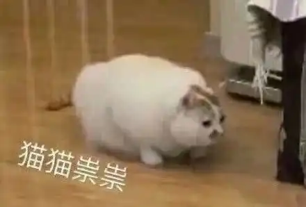 王者荣耀表情包更新你就是个弟中弟
