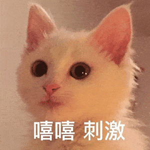 你家狗狗都有哪些尴尬瞬间呢
