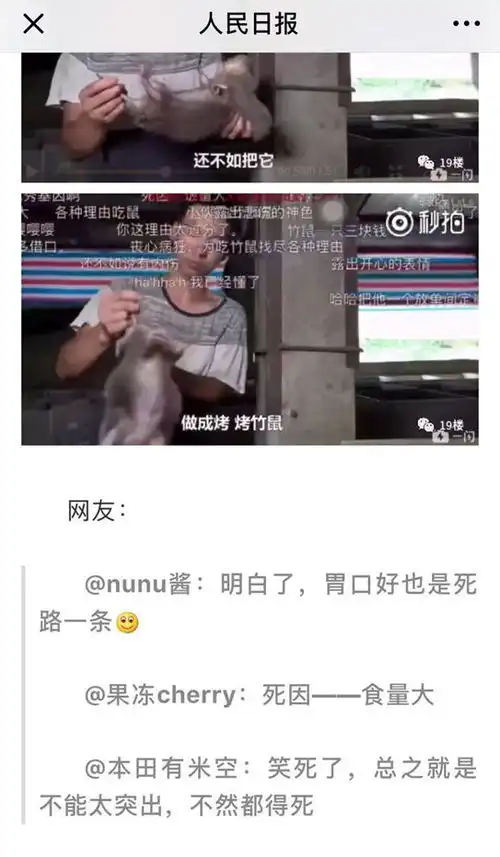短视频的一股清流华农兄弟
