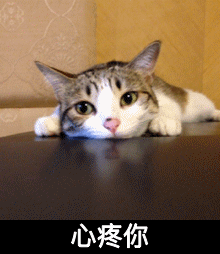 有没有表示安慰对方,心疼对方的表情包
