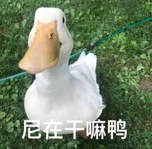 笑哭这究竟是什么沙雕物种看见什么吃什么

