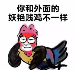 央视春晚吉祥物原型发布,这只鸟长得确实不一般
