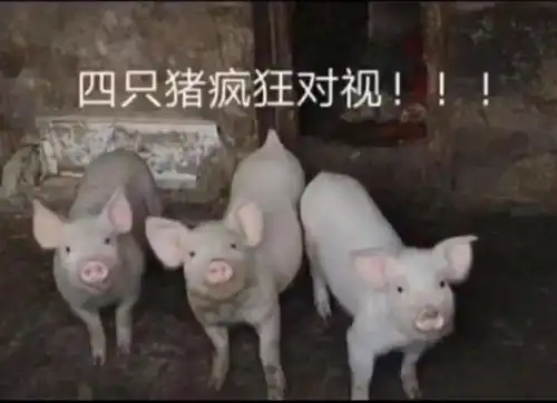 网友晒自己和男友的聊天截图....看完差点被气成心脏病

