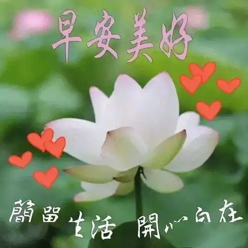 夏天可爱动态早上好问候祝福图片精选温馨早安问候祝福语图片带字
