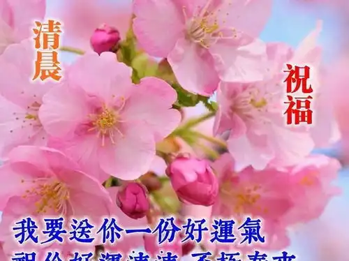 非常好看的早上好问候图片发朋友圈漂亮的早安祝福唯美图片
