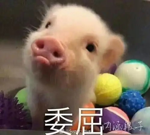 ipsa和奥尔滨选哪个好纠结,我是超干皮肤,但是又爱长火疖子和脂肪粒
