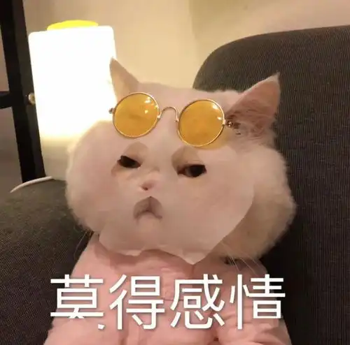 千万别跟南方人买菜,北方人都看哭了
