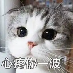 有没有表示安慰对方,心疼对方的表情包
