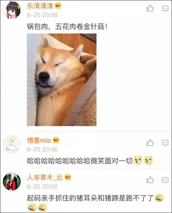 这只猪火了新晋表情包网红,火到国外网友都开始了ps大赛

