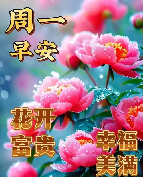 6月24日早上好,特漂亮大家早上好图库,每天问个好,平安健康幸福开心快乐早上好早安清晨手机网易网
