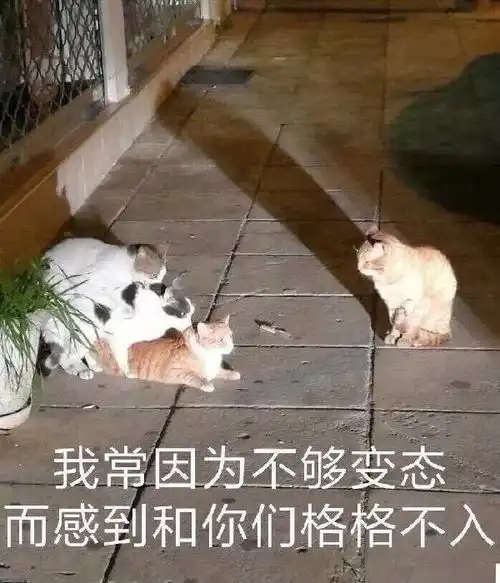 每周一贱怕抄的不到位,我们打算和原作制作人沟通一下
