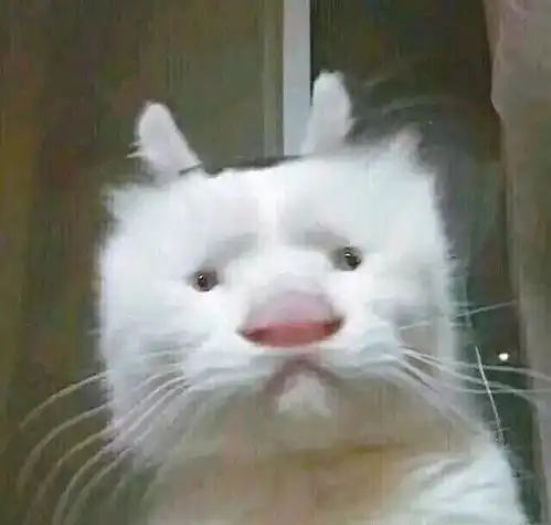 你丑得真别致哈哈哈哈哈哈哈哈哈哈哈哈
