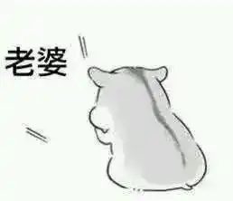 求仓鼠哄老婆表情包,及这张小仓鼠表情原图
