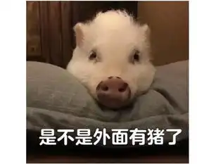 如果没有表情包,你会把天聊死么
