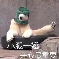 可恶被他装到了狗狗表情包
