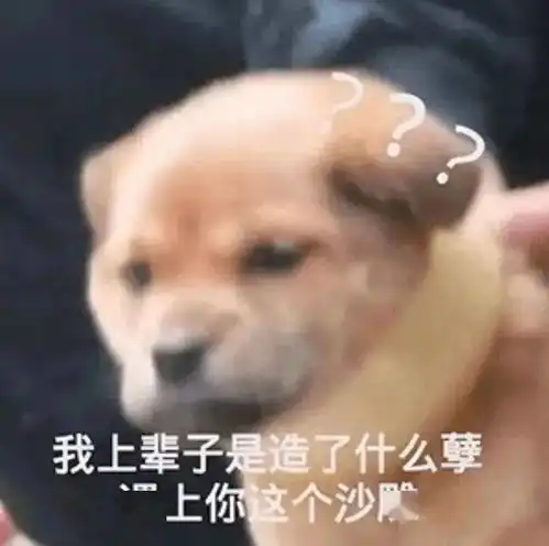 第46期汪表情我上辈子是造了什么孽,遇上你这个沙雕
