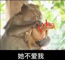 怎么会有这么大度风趣能屈能伸又疼人的男孩子啊再一次为别人的爱情流泪

