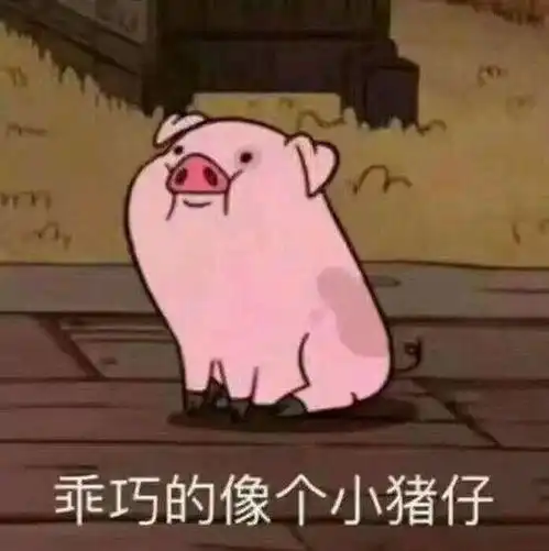 二本法学生,没过司考,考研二战失败,我该怎么办
