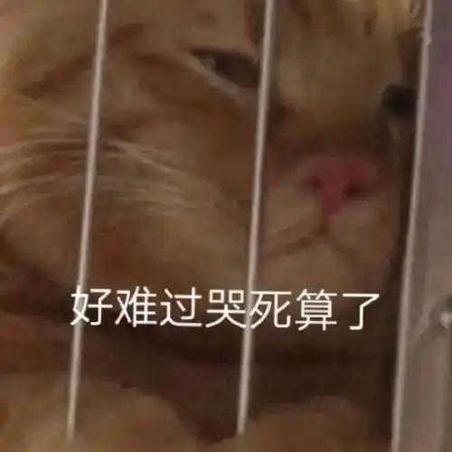 沙雕表情包
