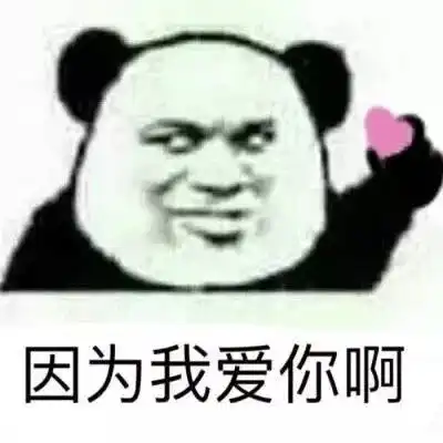 首个电梯华宅问世为理塘进入电梯时代喝彩
