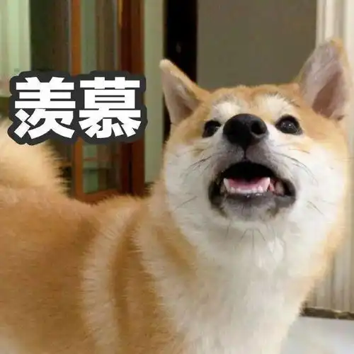 全部首针成都hpv疫苗432个九价上新,附预约入口
