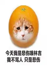 今天我是我不骂人只是流泪表情包今天我是流泪猫猫头猫咪水果系列表情包图片下载乐游网游戏下载
