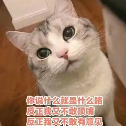 李涛母居们觉得大众对爱豆相对严苛是公平的吗
