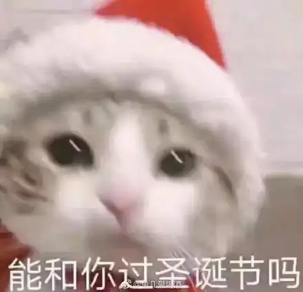 未修图曝光曾碾压刘诗诗,圈内第一美颈居然全靠ps
