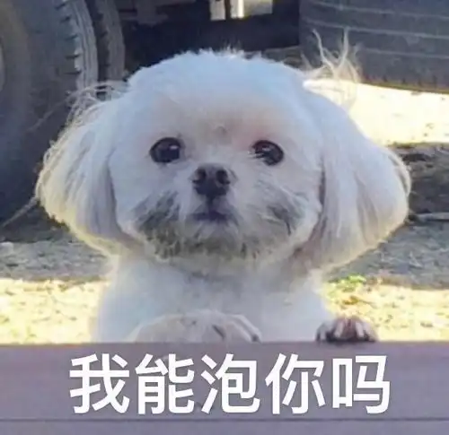 笑话段子在我们家里,从来都是爸爸向妈妈道歉
